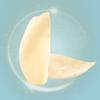 Yan Zhi Fang Dried Sweet Lanzhou Lily Slices