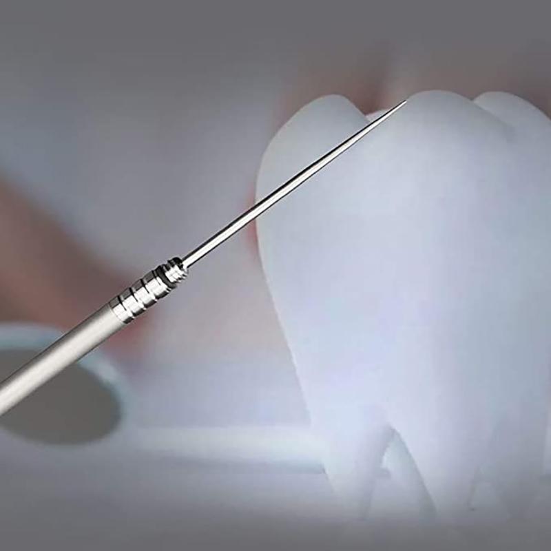 Reusable Toothpick With Waterproof Stainless Steel Toothpick Box Mini Toothpick