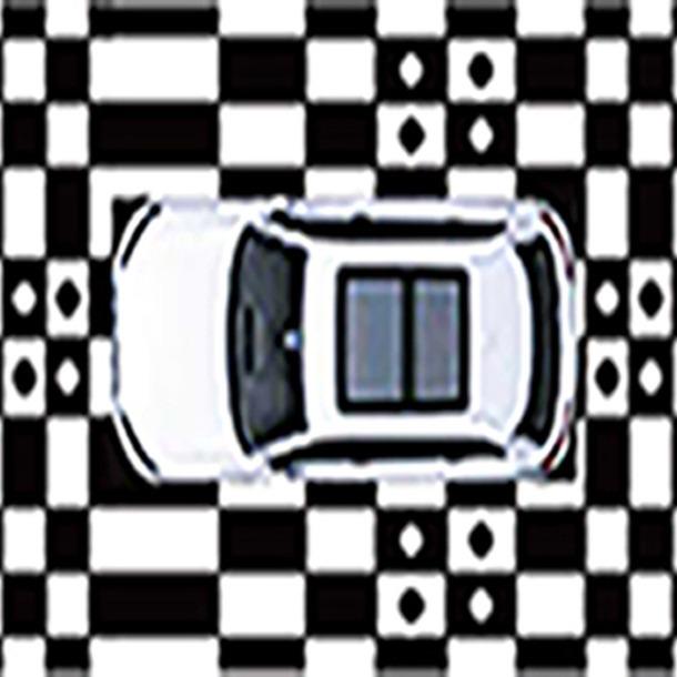 

3D Автомобильная Панорамная Калибровочная Ткань для Сшивания и Отладки Yes белый/чёрный