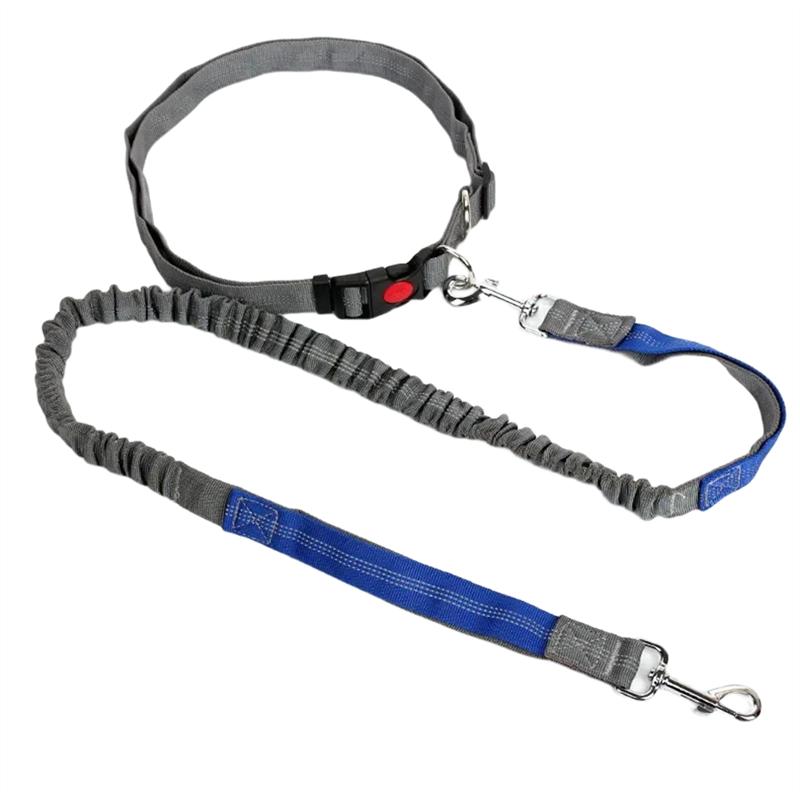 

Pet Elasticity Retractable Dog Leash With Adjustable Waist Rope Hand Free Running Jogging Cycling Big Dogs Lead