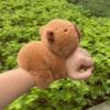 Capybara Papa Kreis Plüschpuppe Armband - Armgelenk Anhänger Spielzeug für Kinder