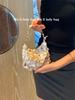 Luxury Sequin Internal Chain Crossbody Shoulder Bag Shell Wooden Circular Handle Handbag,Women Beach Travel Tote Bag