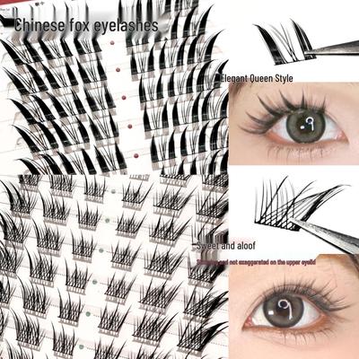 Extension ciglia