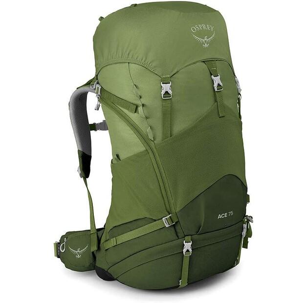 

Рюкзак Osprey Ace 75 venture green