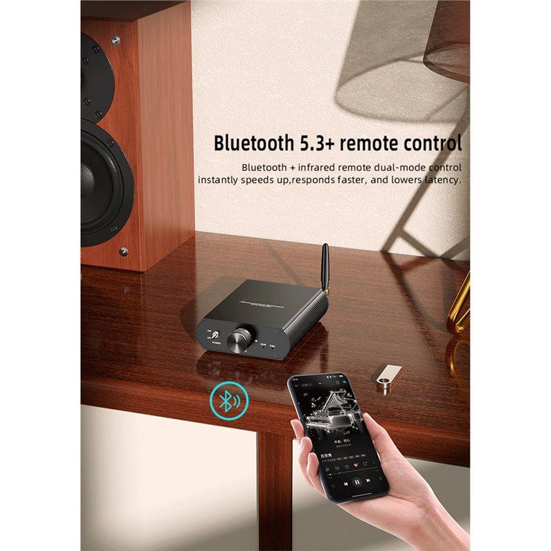 YS-T100W TPA3116 Bluetooth 5.3 Mono Power Amplifier, 12-24V Boost Mini Audio 100W Amplifier Support APP Control