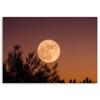 Canvas Print, Full Moon