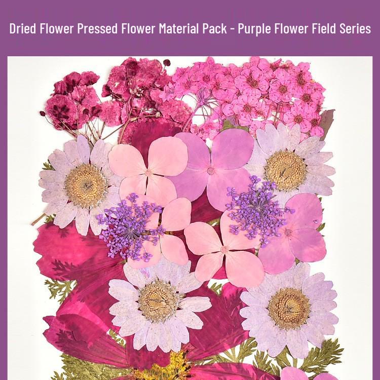 Autumn Dried Flower Bookmark Kit: Transparent Leaf Specimen with Lamination Film Stickers