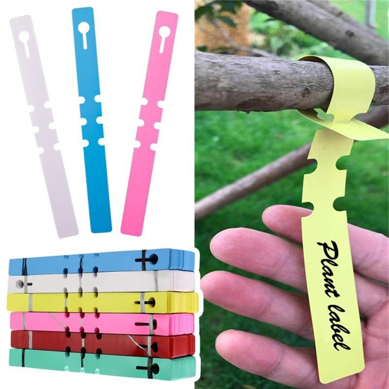 100PCS Pallets To Mark Plants Plastic Labels Plant Name Tag Ring Garden Sign Tags for Garden Plant Identification ZWBQP02