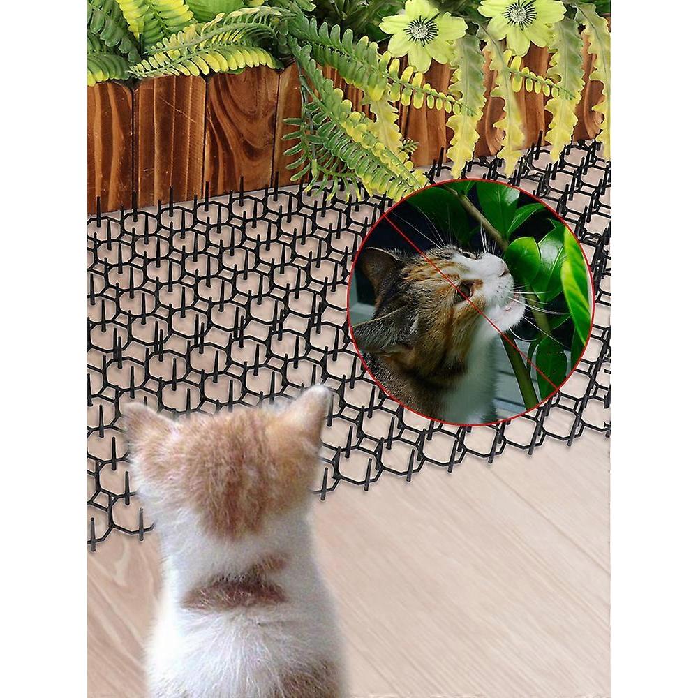 Durable PP Cat Repellent Spikes, 6-Pack for Outdoor Use