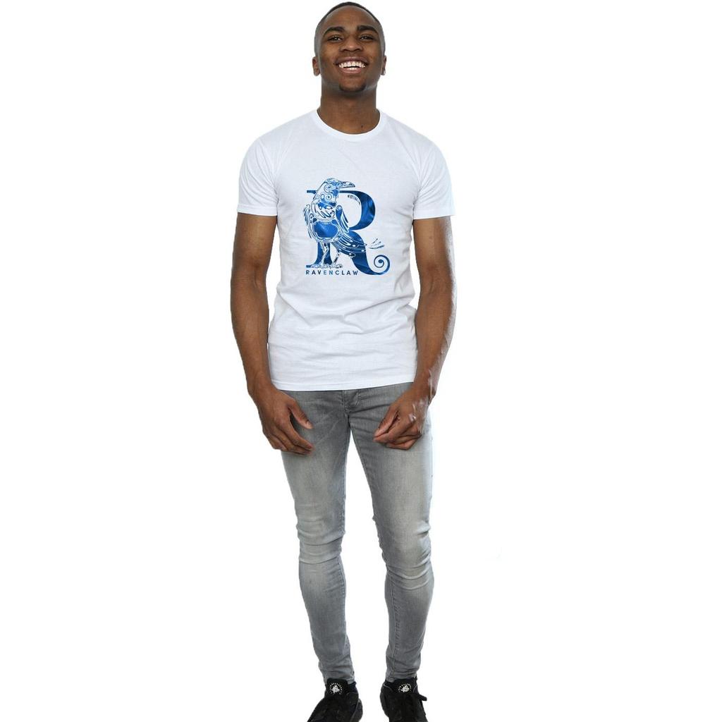 Harry Potter Mens Ravenclaw Raven T-Shirt