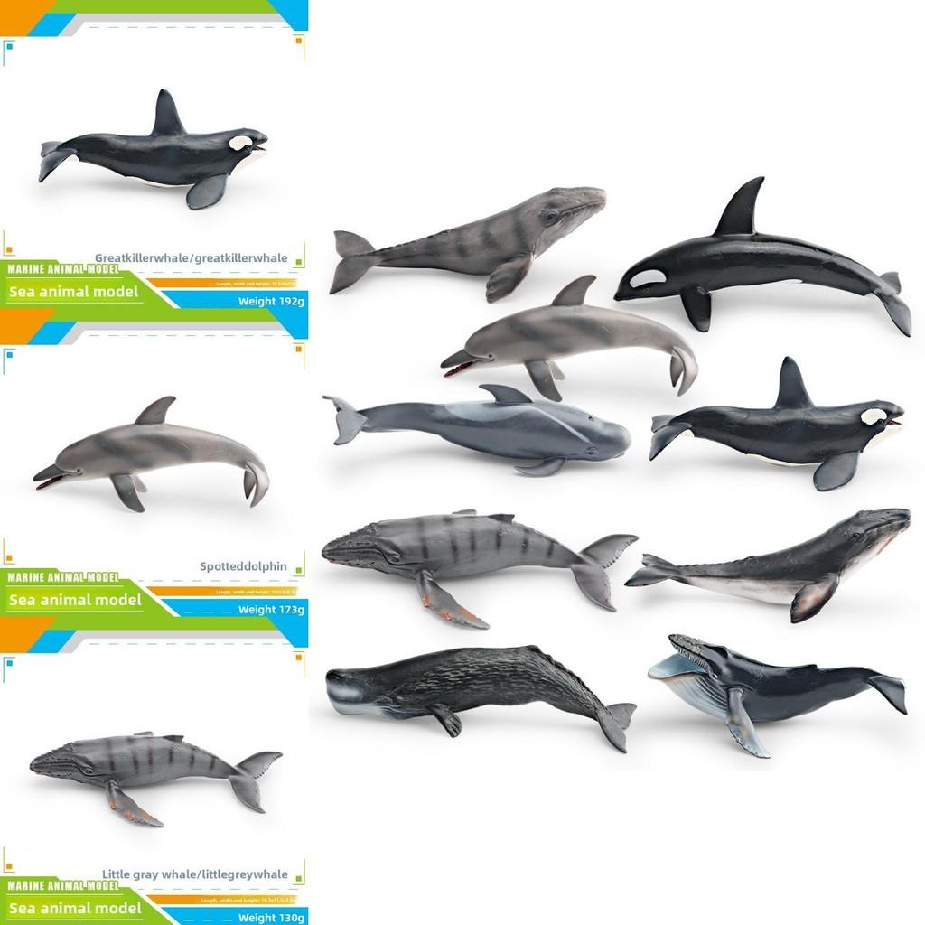 Childrens Marine Animal Pvc Model Set With Realistic Cetacean Figures For Educational Play