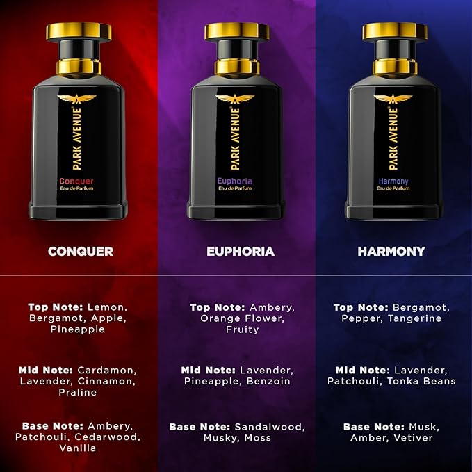 Park Avenue Euphoria, Eau De Parfum Men, 100ml | Long Lasting Perfume for Men |