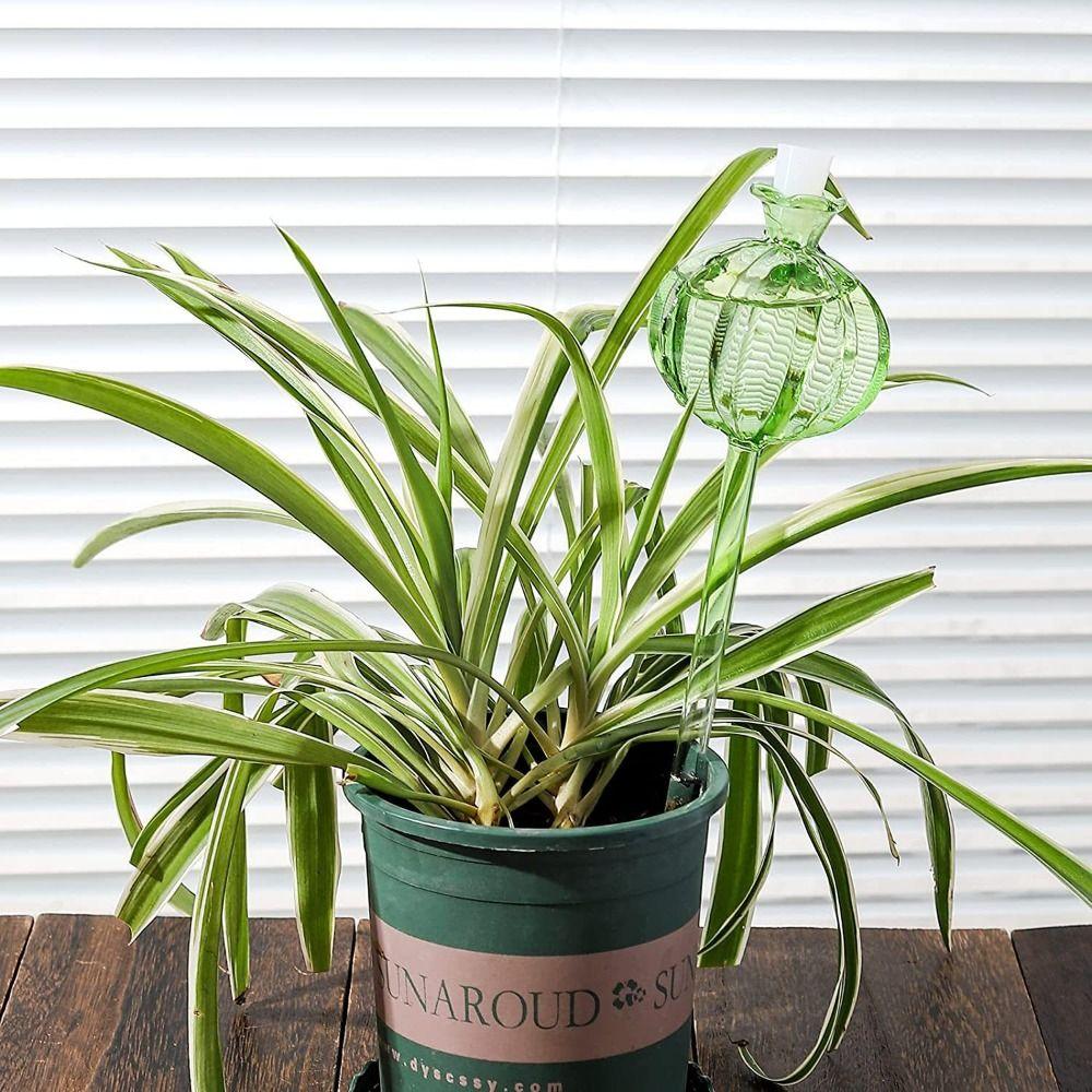 

Стеклянные самополивающиеся шарики Водяные шарики для растений Лампы для полива кактусов Шарики для полива растений