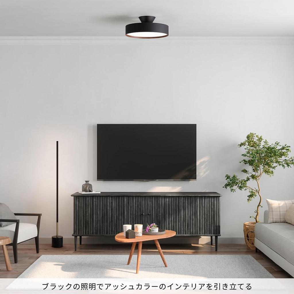 Artwork Studio Glow 4000 LED Ceiling Light for Tatami Toning Indirect Lighting Remote Control Light LED ~8 Mats, 40,000 Hours, Dimming, (warm/white