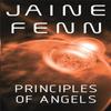 Principles of Angels by Jaine Fenn Paperback Book 9780575083295