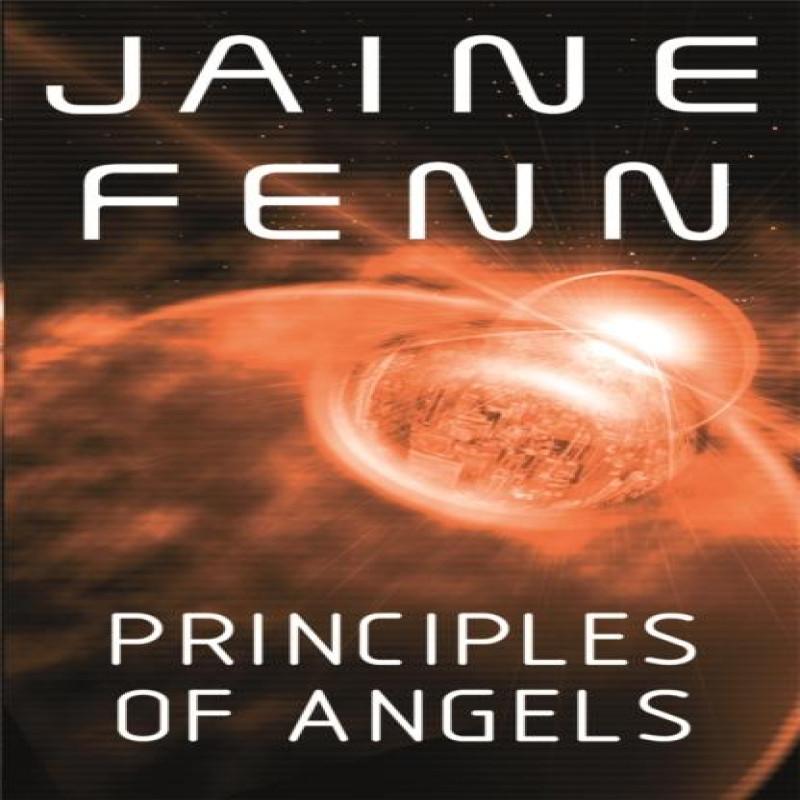 Principles of Angels by Jaine Fenn Paperback Book 9780575083295
