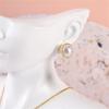 Portable Head Bust Stand Mannequin Decorative Head Mannequin Bust Organizers For Jewelry Display In Retail Settings