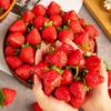 Strawberries - Red Plastic Fruit Decorations for Home, Kitchen, Parties, Photo Props - Versatile Year-Round Summer Decorations