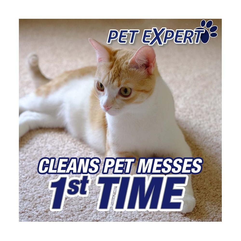 Pet Stain Remover Foam 22oz Odor Neutralizer Deep Cleaning Solution Carpets Safe Pets Heavy Traffic Areas