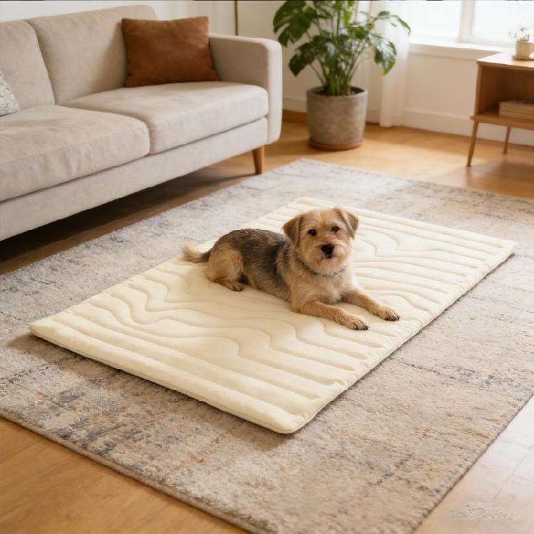 Dog Cooling Mat For Hot Day Sofa Cats Ice Pad Blanket Light weight Comfortable Pet Cooling Pad Pet Accessories