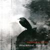 Blackbird Bye Bye by Moniza Alvi Paperback Book 9781780374222