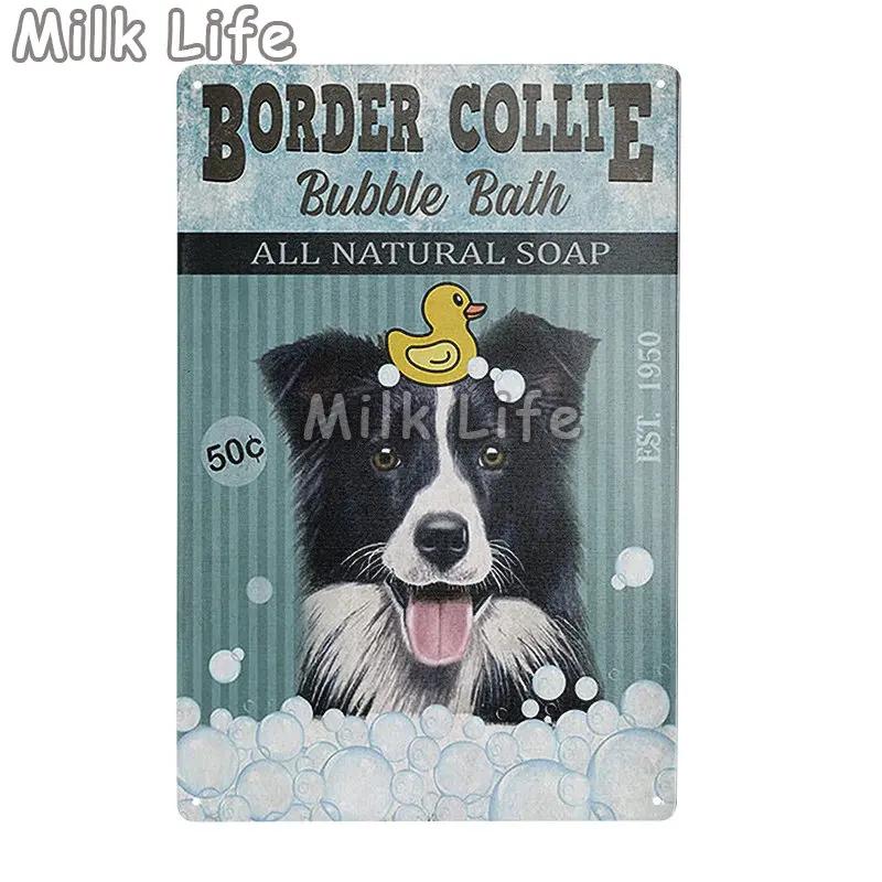 Metal Tin Sign Vintage Funny Border Collie Dog for Coffee Bathroom Toilet Pet Shop Home Sweet Home Sign Bedroom Art Wall Decor