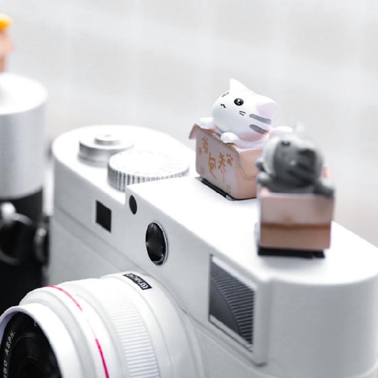 3D kreslený kryt sáněk fotoaparátu Roztomilý pro kočku DSLR Prachotěsný kryt sáněk pro DS