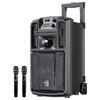 Malata Audio Master 12-inch Portable Bluetooth Karaoke Speaker (CN Version)