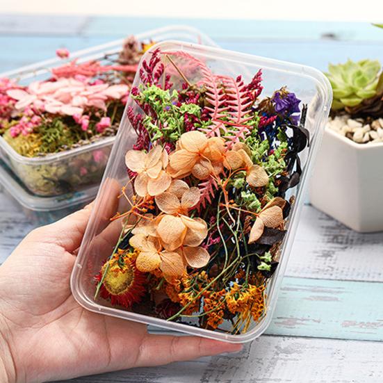 Artă populară Floare uscată Moale Vii Estetică