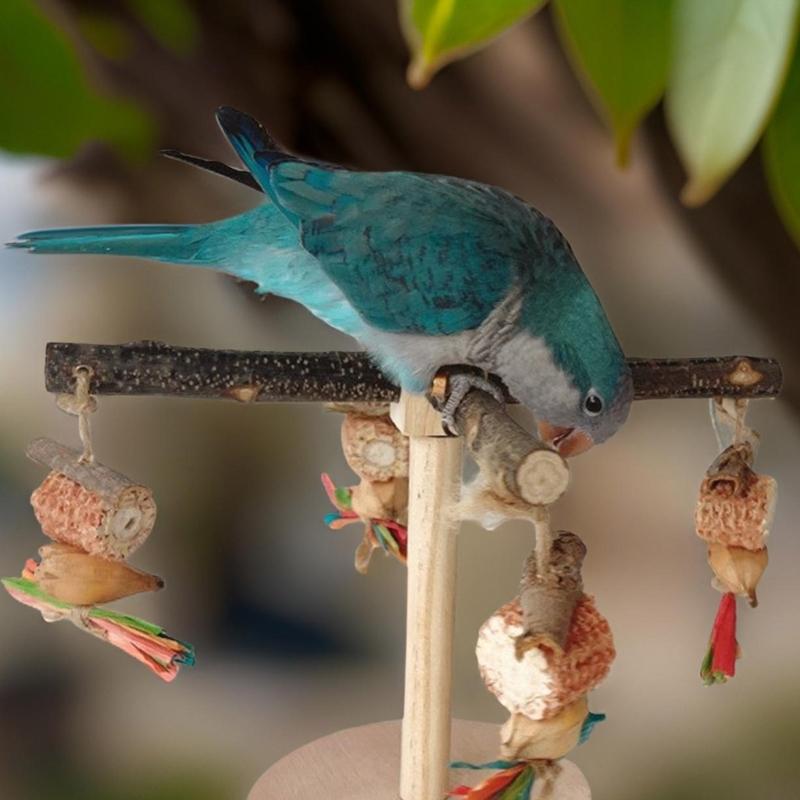 Suport rotativ molar din lemn pentru păsări, pentru papagali conuri, accesorii pentru perusi, scărpătoare pentru papagali mici și mijlocii