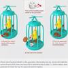Chirping Bird In Cage Cat Toy Interactive, Bird Cage Cat Toy