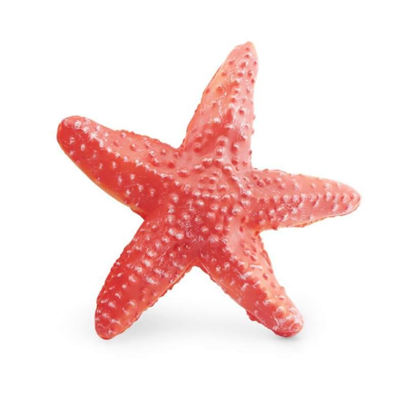 

Sea Star Aquarium Decoration Pvc Model For Kids Science Learning Red