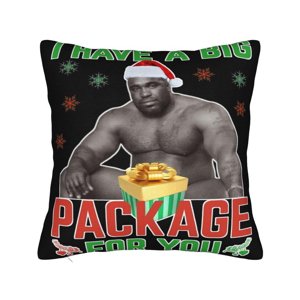 Decorative Pillow Cover Funny Barry Wood Meme Christmas Accessories Car Pillow Case Cover Zippered Multiple Sizes