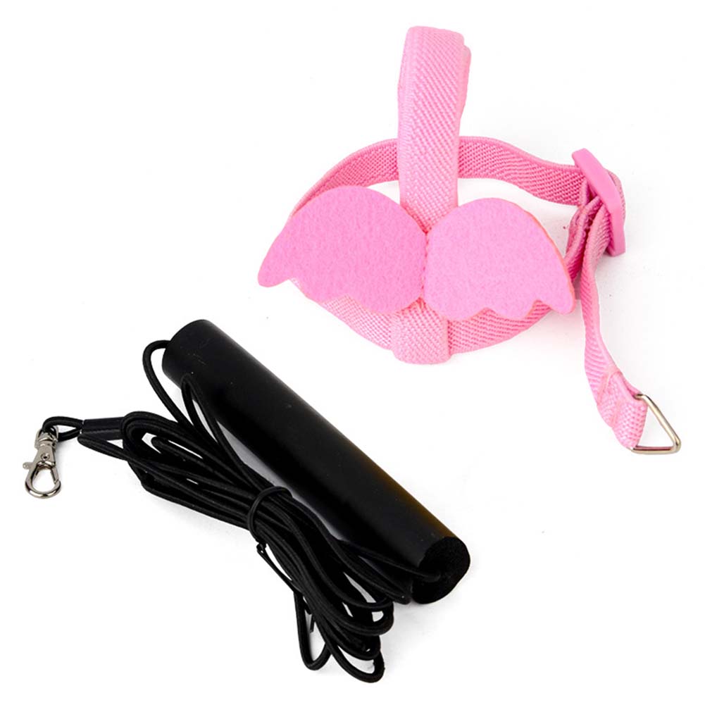 Parrot Harness Leash Ultra-light Adjustable Outdoor Flying Training Rope Bird Accessories