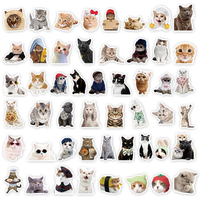 50 Cartoon Stickers: INS Style Cute Diary & Journal Decorations for Kids