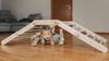 Fipitri home playground