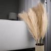 5pcs Extra Large Pampas Grass Stems 120cm Fluffy Artificial Silk Reed for Boho Home Wedding Decor