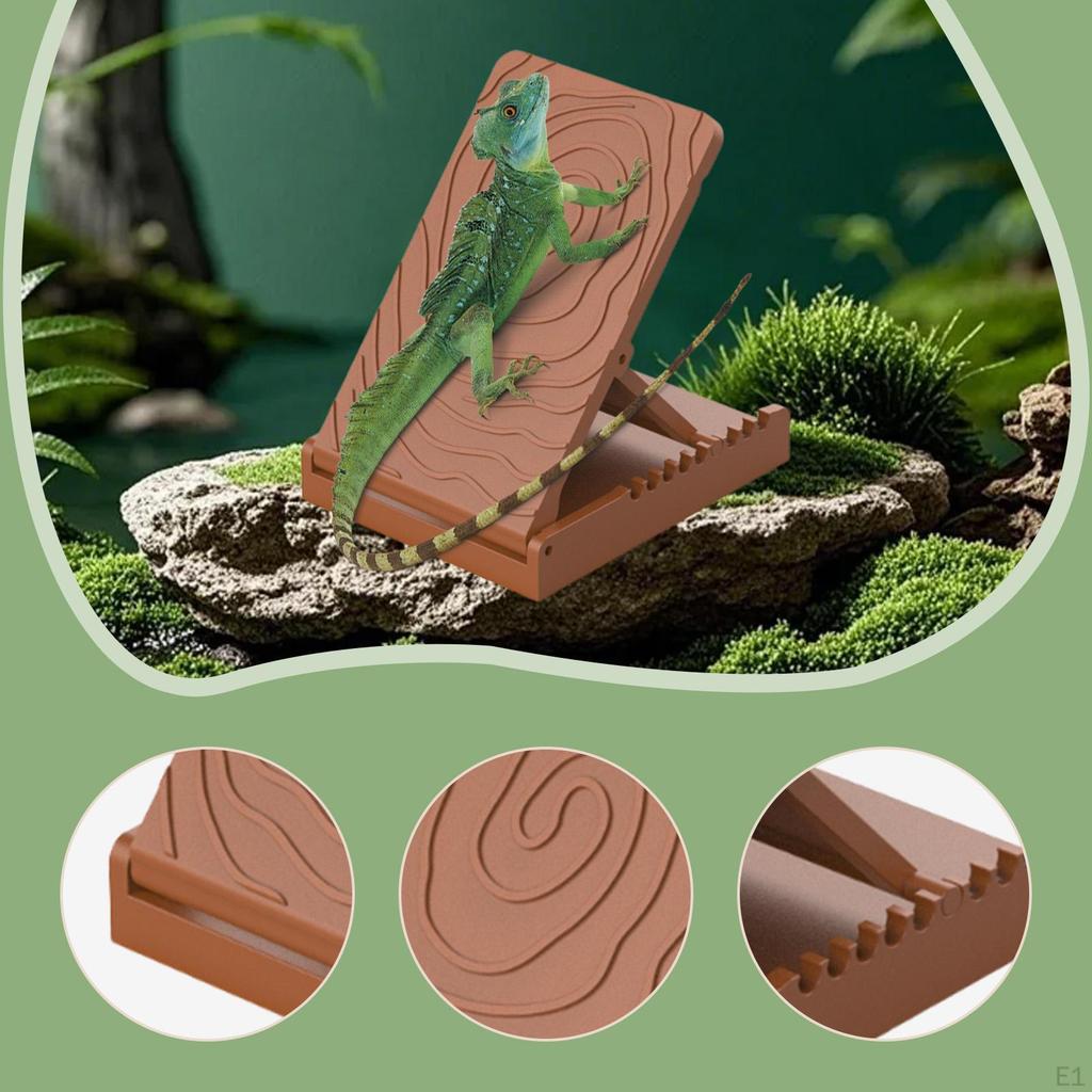 Amphibian Climbing Stand Toy Foldable Exercise Tool Reptile