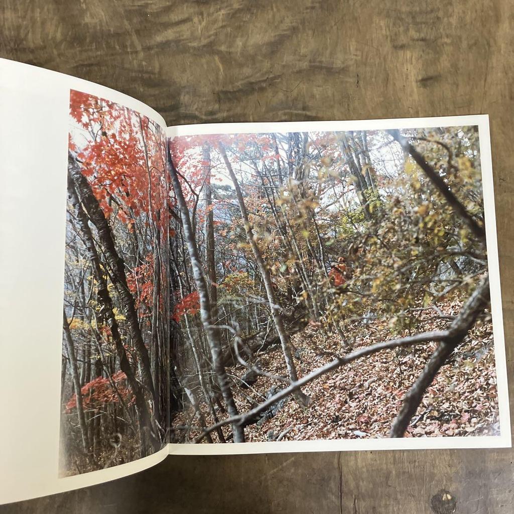 [USED] Signed flyer by Tsuketa Tsukemasa Photobook "Is Your Blood Still Red?