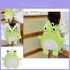Cute Lightweight Kids Cartoon Frog Backpack For Boys And Girls School Bag