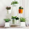 Multi-layer Indoor Flower Stand - Wrought Iron, Space-saving Decor Rack for Home & Balcony