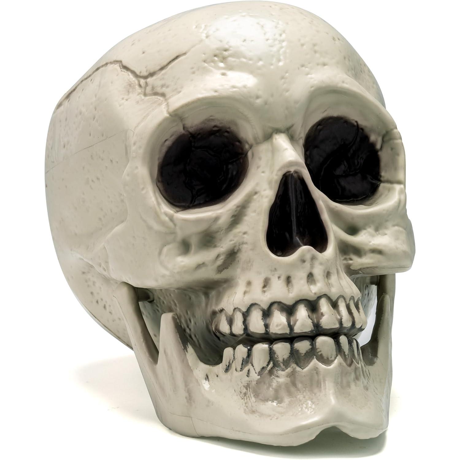 

JOYFY Skeleton Halloween Decorations Human Skull Model Indoor Outdoor Decorations Tabletop Home Decor (6 x 5.5 x 7.5 Inches)
