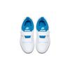 Nike Pico 5 Low Top Kids' Skateboarding Shoes White Blue Children Aged 3 7 Years Old AR4161-103
