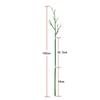 Reusable Plant Support Stakes Detachable Climbing Bracket New Plant Stakes Vine