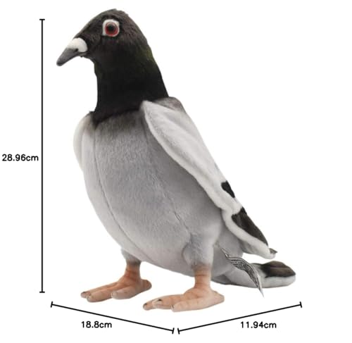 BH6299 HANSA Pigeon 29