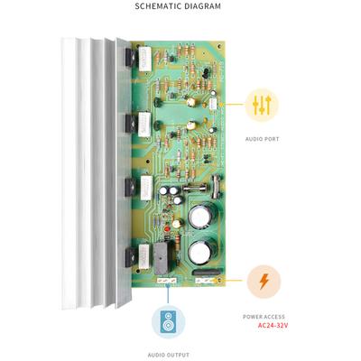 Professional 100w+100w V Mos High Power Amplifier Great Quality DX719 Rear Stage Amplifier Board Powerful Output
