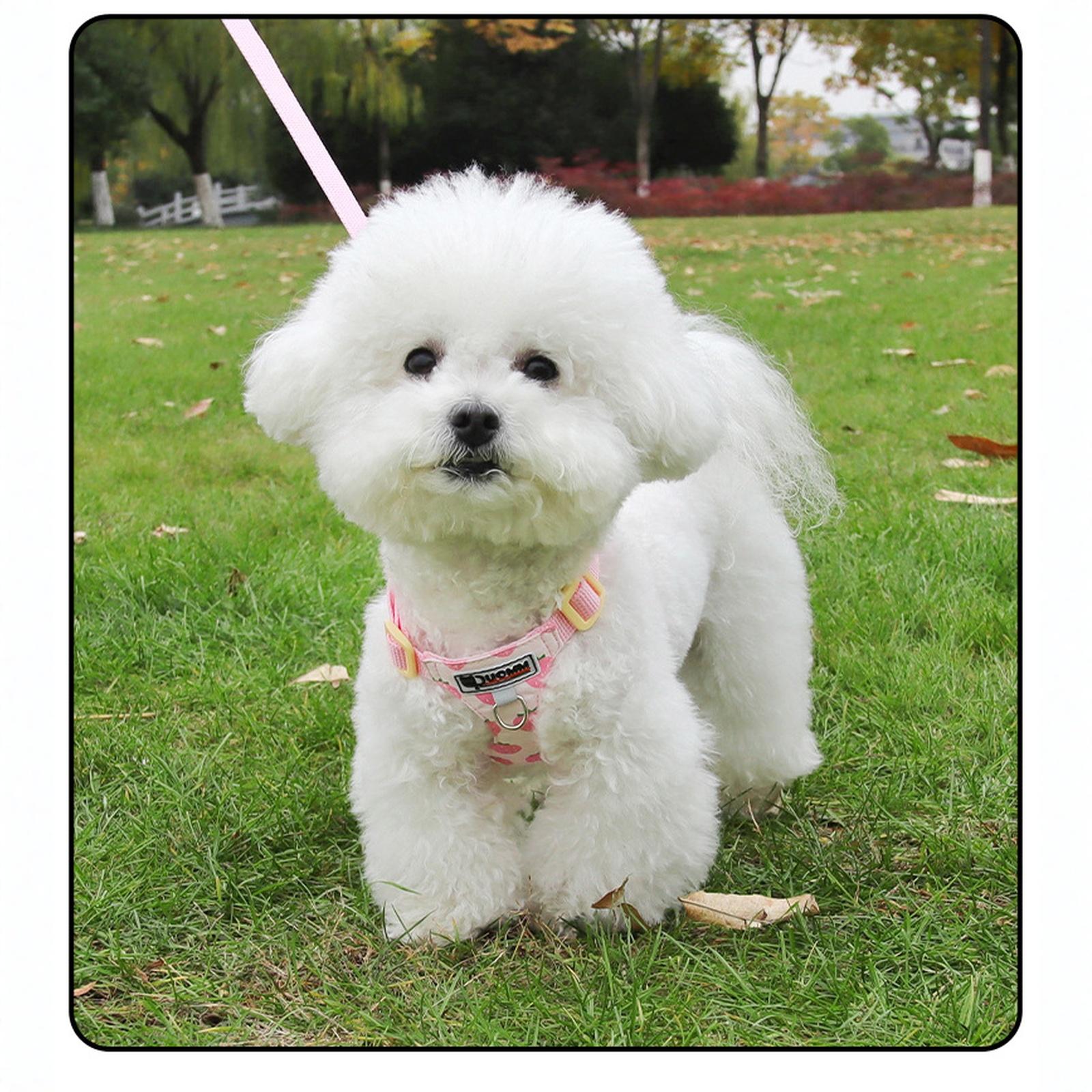 

Dog with Traction Rope, Orange and Hexagonal Design, I-Shaped Abdomen XXS рожевий
