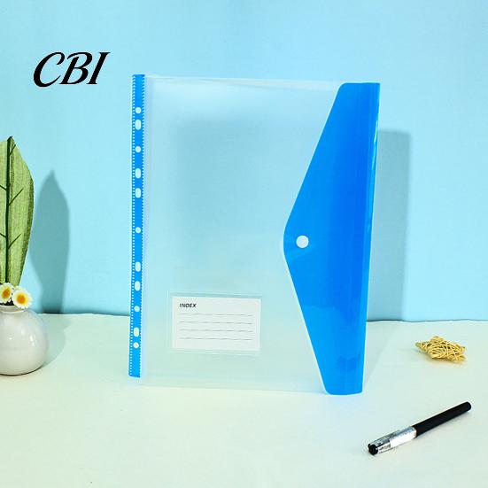 Binder Compatible Folder 11 Hole Clear File for A4 Binders, Colorful Plastic Document with Bag Snap Button & Label Slot, Transparent Project Organizer