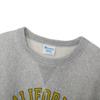 Reverse Crew Neck Long Brushed Relax Graphic 11.5oz Weave® Sweatshirt, Sleeve, Fleece, Fit, Print, CW-C003-040-L