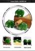 Hetian Jade Pendant: Lotus Pod, Double Lotus, Gourd, Elephant, Jadeite Lock, Cat Paw Earrings